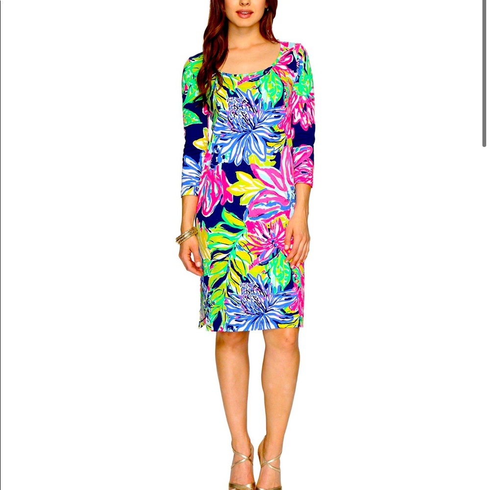BEAUTIFUL Lilly Pulitzer Kenzie dress XL